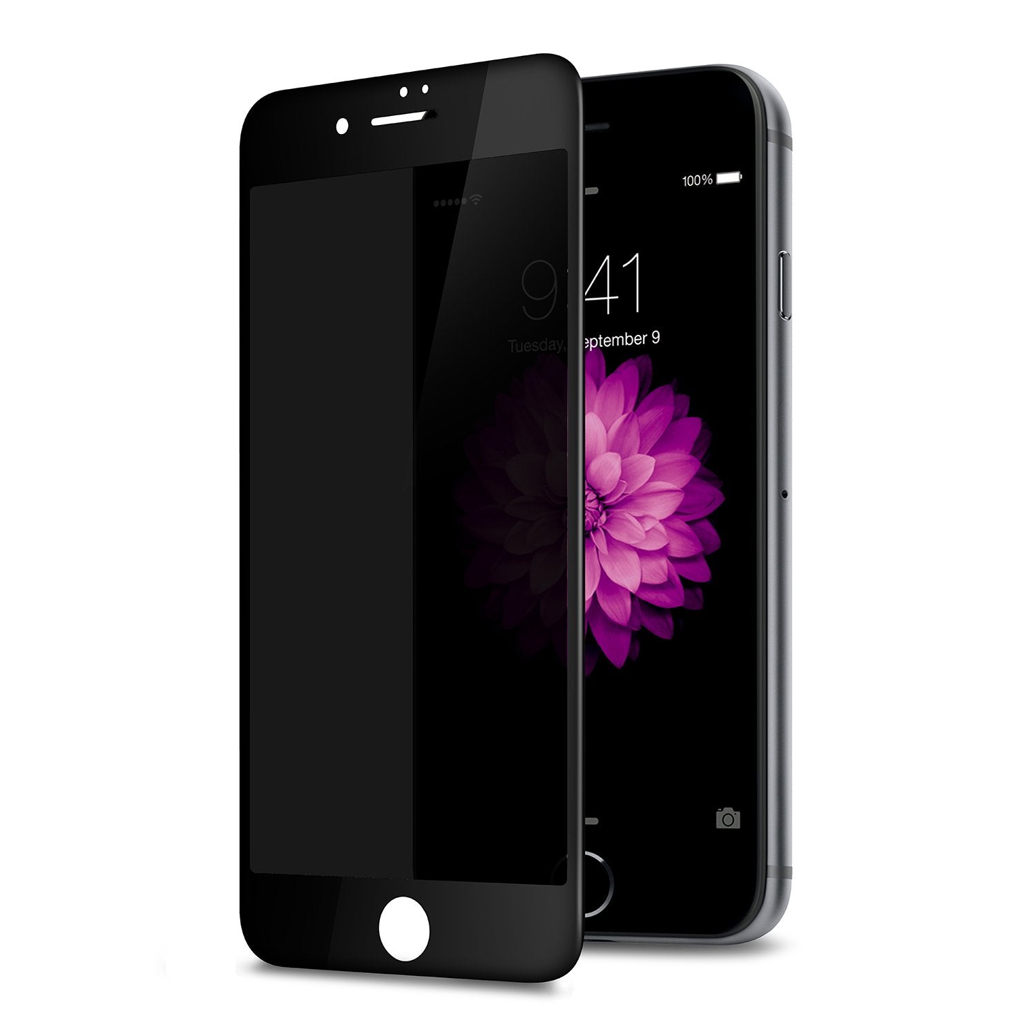 iPhone 8 Series - Screen Protector