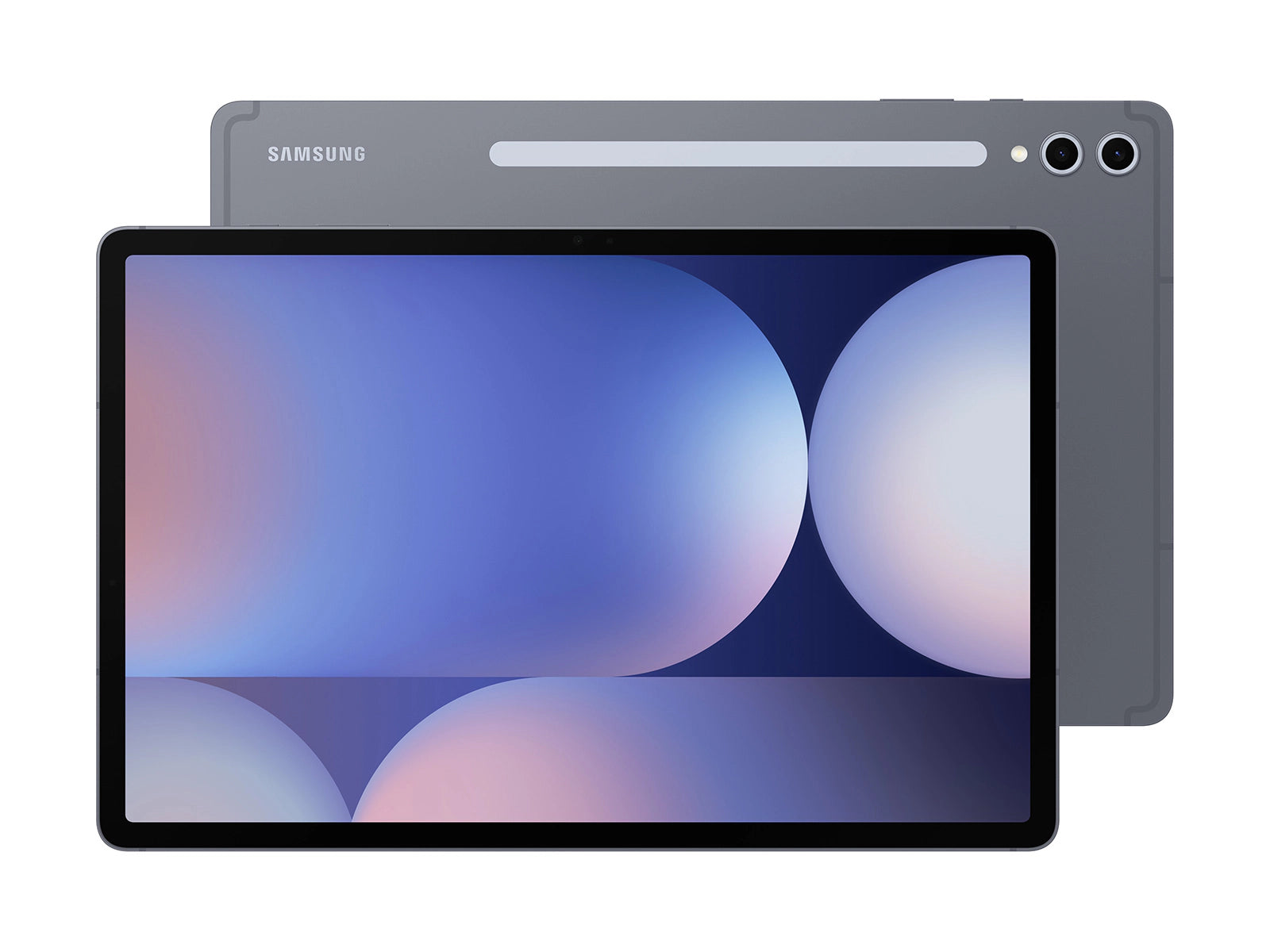 Samsung Tab S10+ 256GB - Moonstone Gray