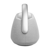 Harman Kardon Go + Play 3 - Grey