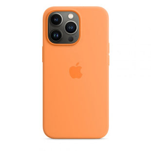 iPhone 13 Pro Max Cover