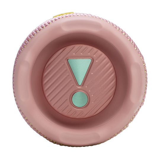 JBL Flip 7 - Pink