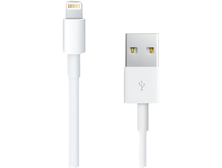 USB to Lightning Cable - Apple