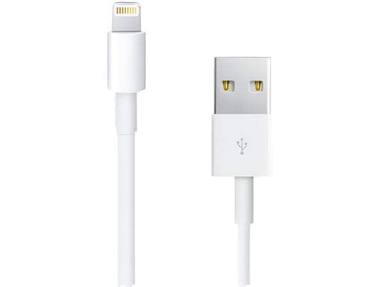 USB to Lightning Cable - Apple