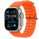 Used Apple Watch Ultra 1-49MM / Natural Titanium - Orange